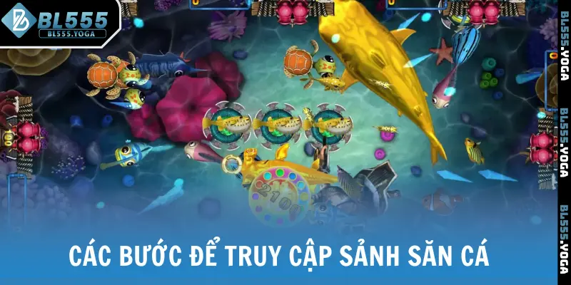 Các bước để truy cập sảnh săn cá