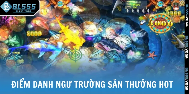 Điểm danh những ngư trường săn thưởng hot