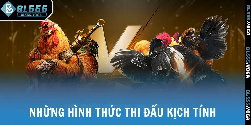 Những hình thức đấu gà kịch tính