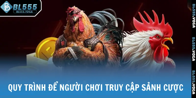 Quy trình để người chơi truy cập sảnh cược