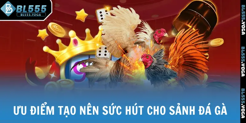Những điểm tạo nên sức hút khó cưỡng của sảnh đá gà